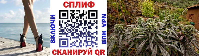 Магазины продажи наркотиков Подпорожье ГАШИШ мега ссылки Амфетамин МЕФ Каннабис