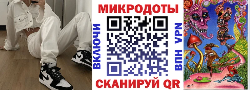 ОМГ ОМГ ТОР Подпорожье Псилоцибиновые грибы Psilocybe